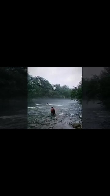 You can lead a horse to a river but you can't make it drink #nature #horse #river #God