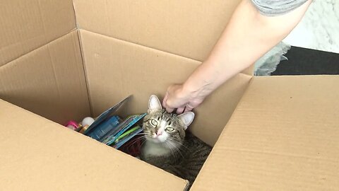 I Got a Little Present in a Box