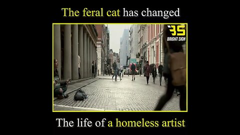 cat has changed his life