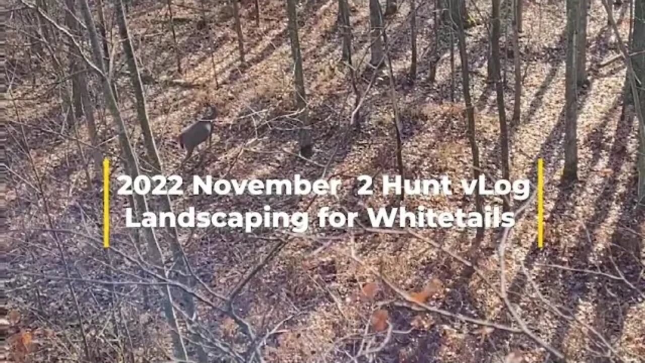 2022 November 2 Hunt vLog Landscaping for Whitetails