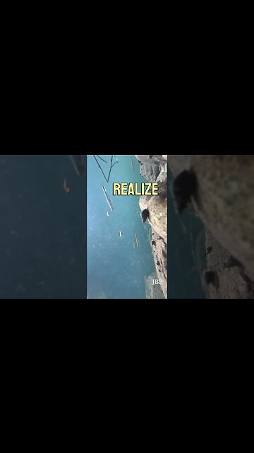 Daily Inspirational Quotes @Yourworldwithin