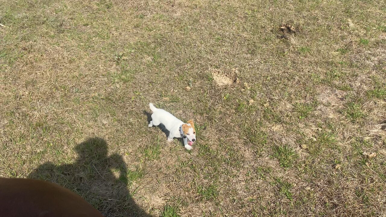 We took our dog on a trail ride 🤪