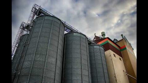 Un silo s'effondre et ensevelit une pelleteuse