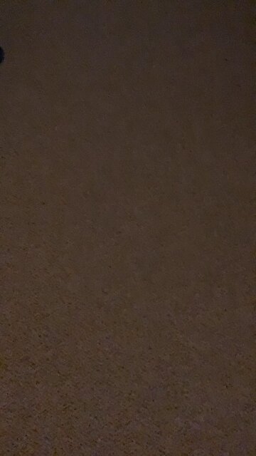 Iconic victory dance