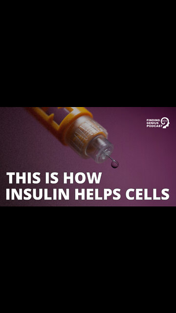 This Is How Insulin Helps Cells #shorts