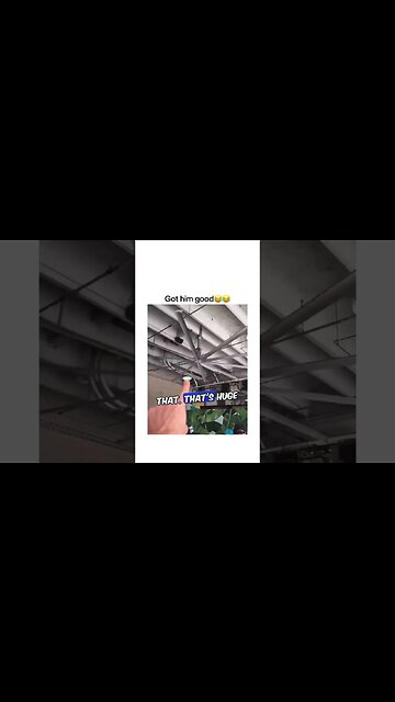 FUNNY MEME VIDEO | RANDOM ROADHOUSE