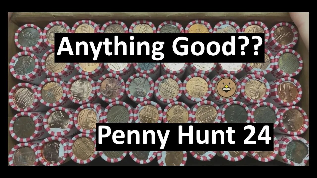 Anything good here? - Penny Hunt 24