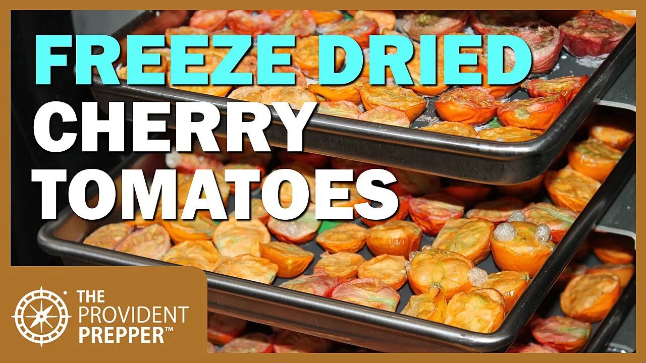 Food Storage: Freeze-Dried Cherry Tomato Snacks