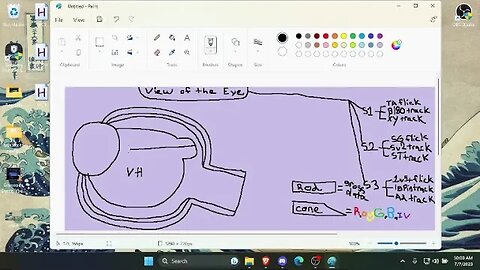 Session 1: Metagame (Paint, Typing, Aim Training) - Part 4 -