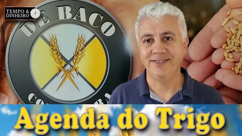 A safra faz sua pressão, mas o câmbio está favorável...