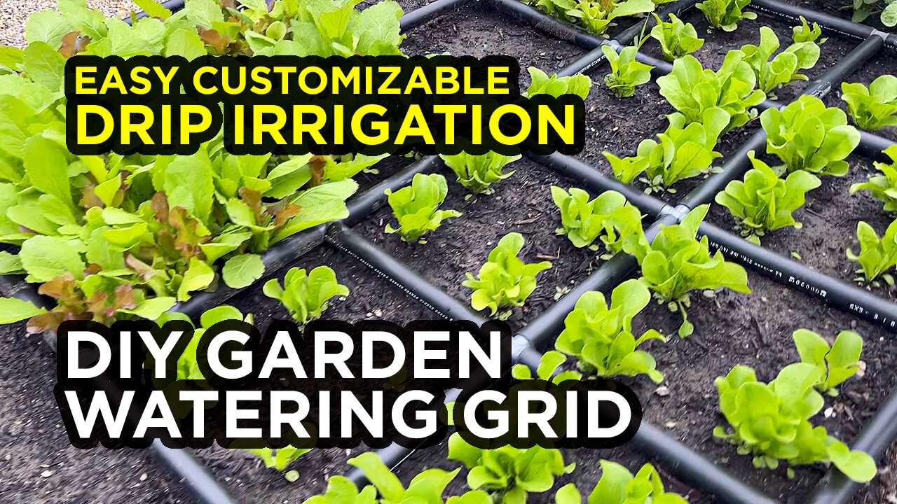 Build Your Own Drip Irrigation System in 3 Easy Steps - DIY Watering Grid Like Garden In Minutes