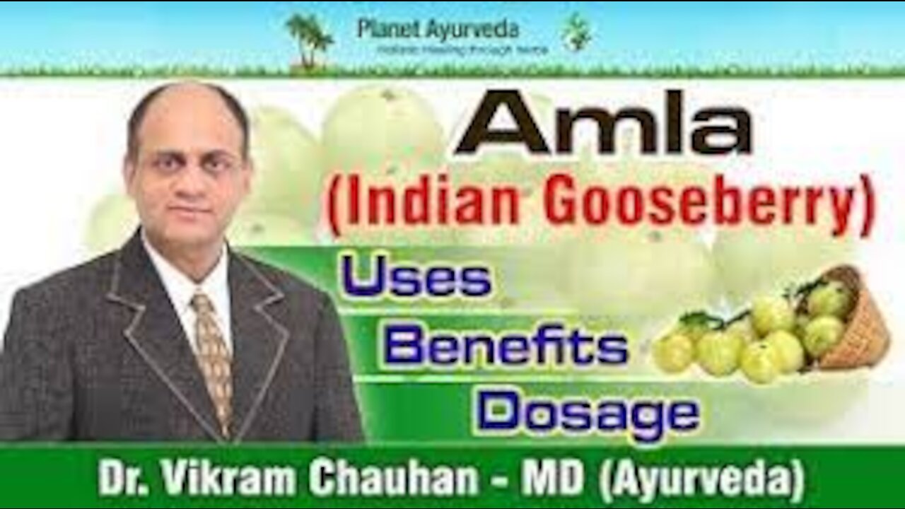 Benefits, Uses, Dosage & Side Effects of Amla (Indian Gooseberry)