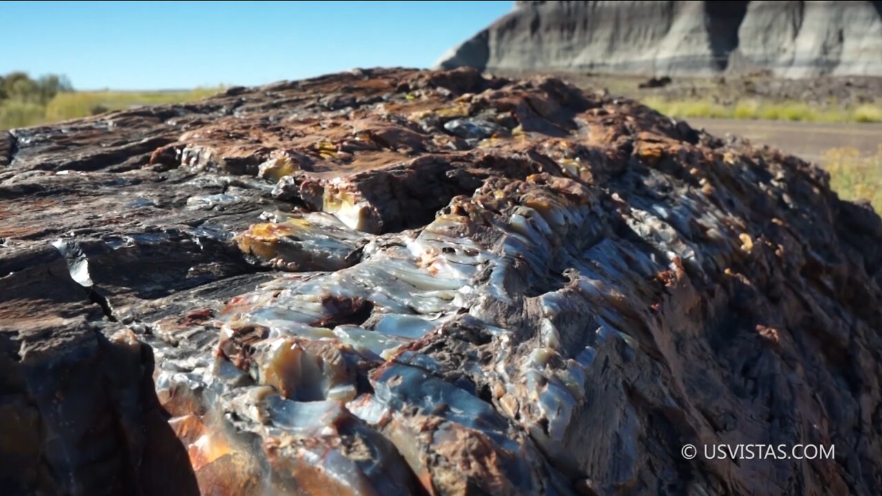 Petrified Forest, AZ [2015-09-20]