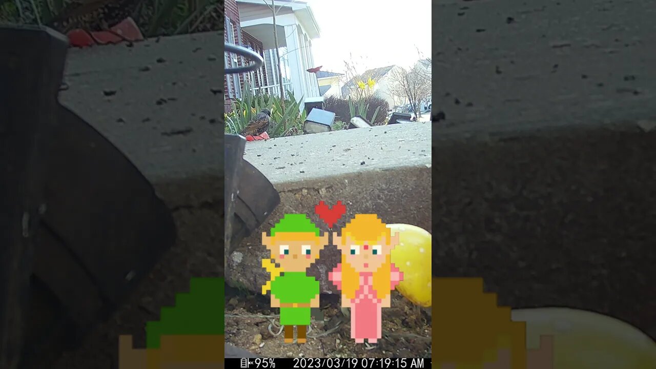 Zelda And Link Visits #Shorts 👾