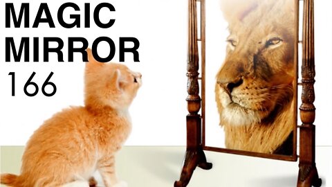 Magic Mirror 166 - 27x Stronger