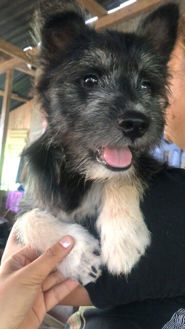 Grooming gone wrong 😂