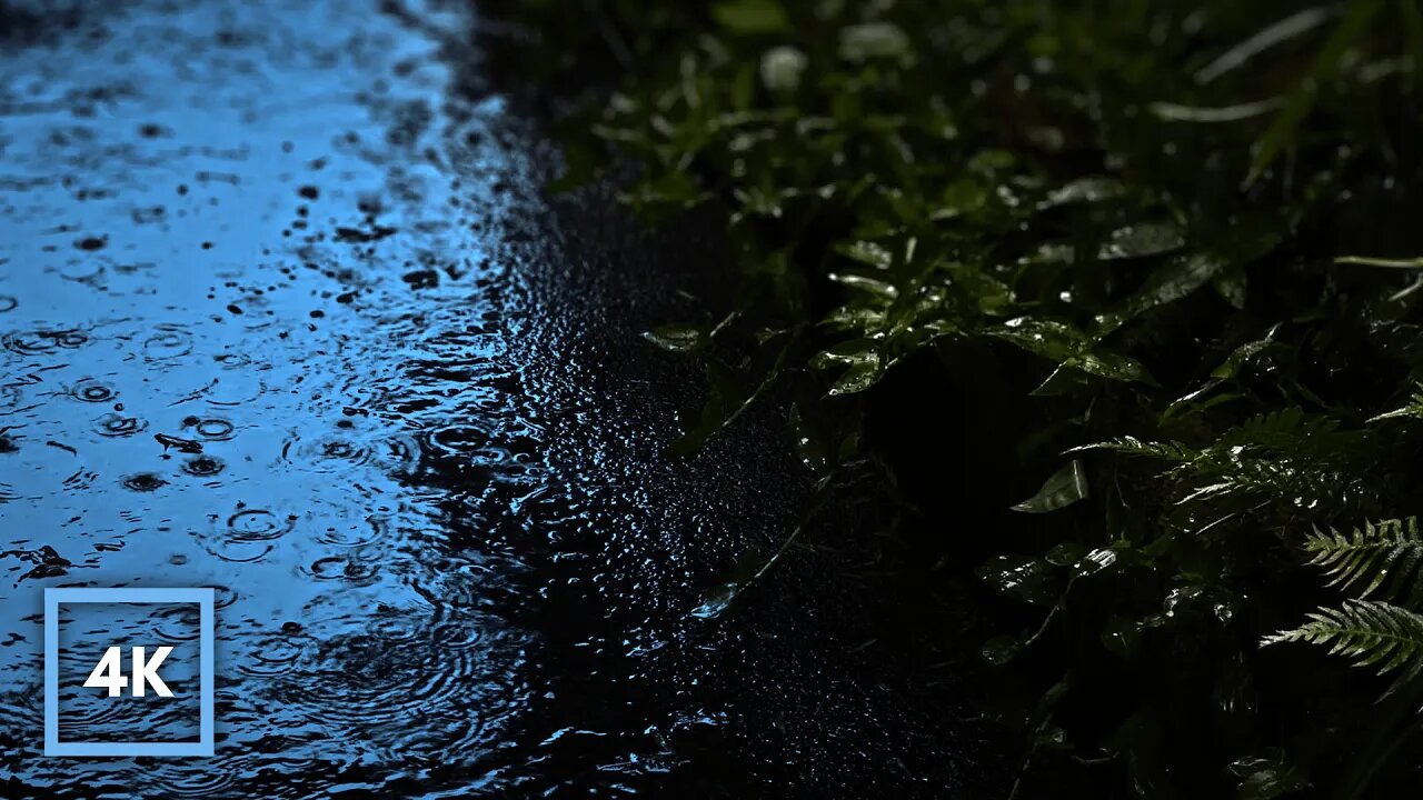 RAIN Sounds for Sleeping - Rain on Path & Rain on Leaves - End Insomnia, Study, Relax 12hrs