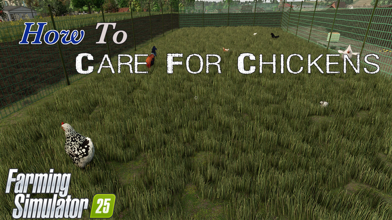 How To | Care For Chickens | Farming Simulator 25