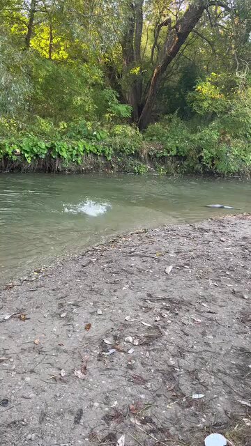 fishing in the river