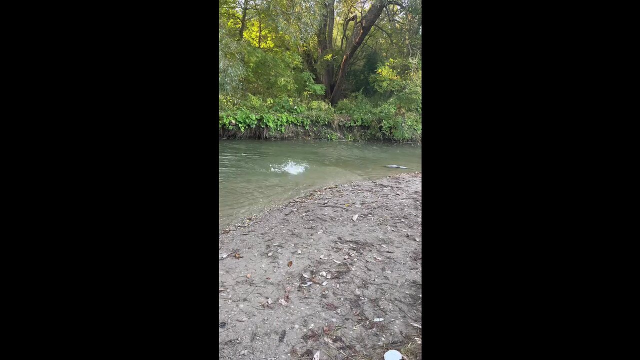 fishing in the river