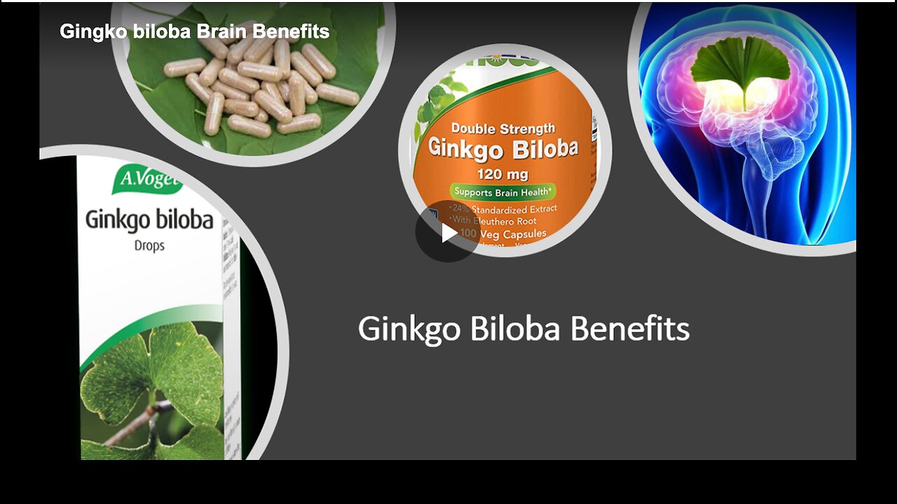 Ginkgo biloba's brain benefits