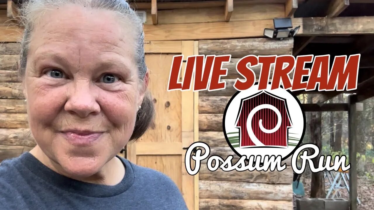 LIVE STREAM | Possum Run Homestead | Woman Builds Tiny House in the Woods ALONE
