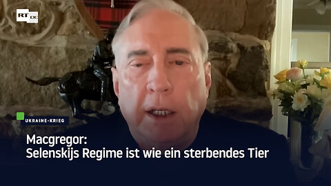 Macgregor: Selenskijs Regime ist wie ein sterbendes Tier