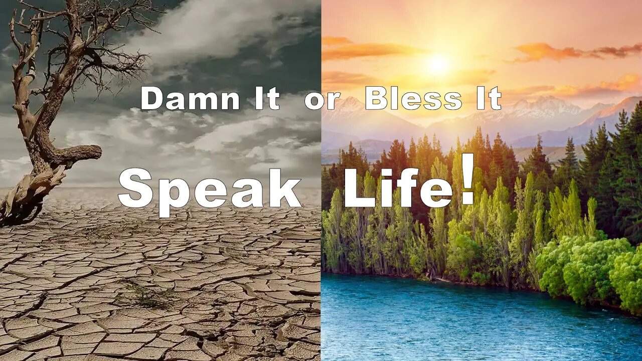 Damn It or Bless It: Speak Life!