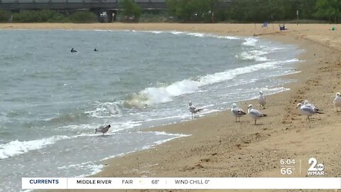 Police hope tattoos help identify woman pulled from water at Sandy Point