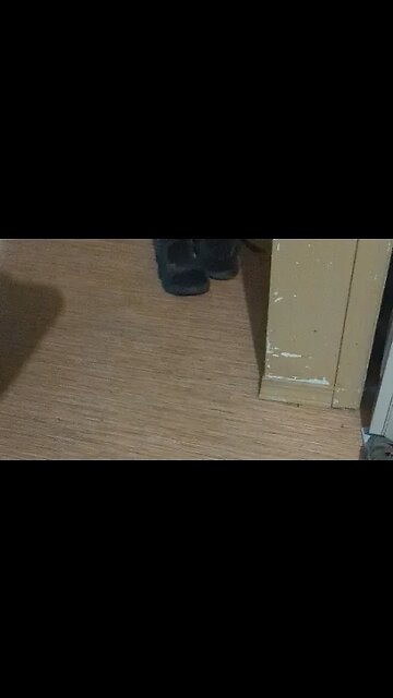 revenue canada gose on strike not a good look