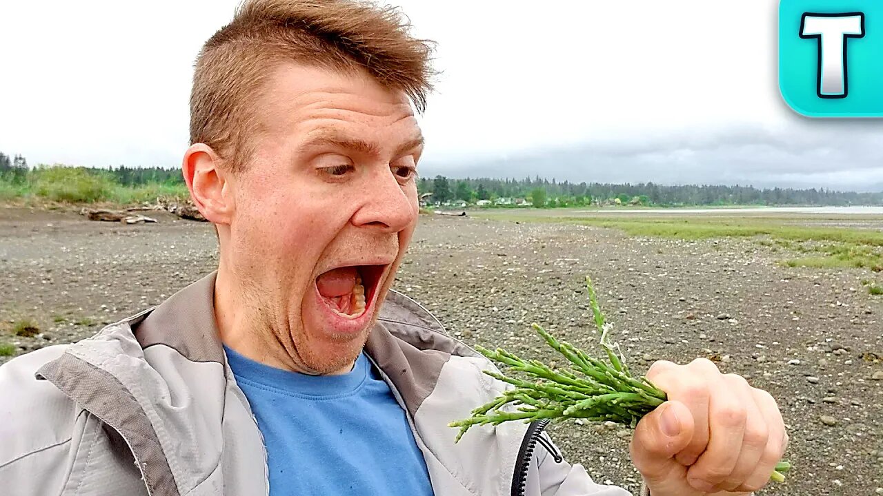 What is Sea Asparagus!?