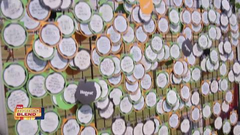 VisionSpring with Honest Tea