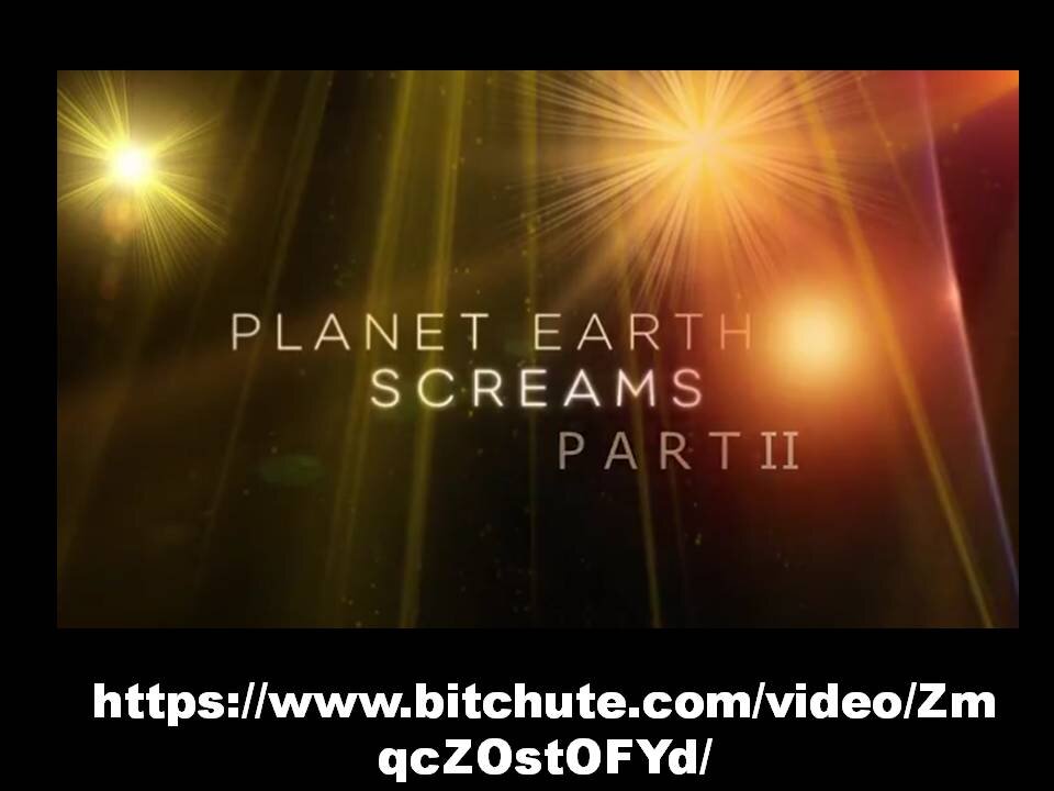 THE PLANET EARTH SCREAMS2 (mirrored)