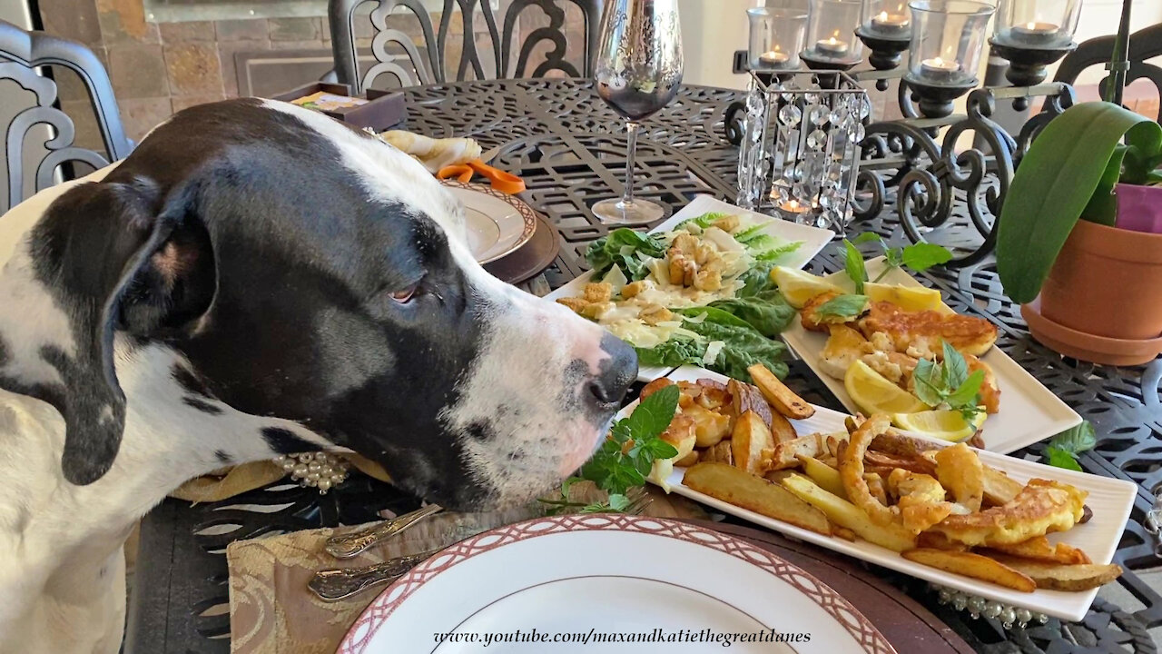 Great Danes sample homemade battered fish & chips