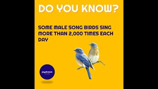 #44 Joyful Facts about birds and animals | Do you know? | Joy Stream