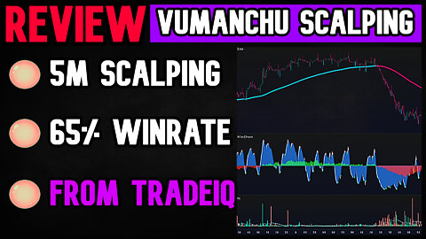 BackTesting The Vumanchu Scalping Strategy 100+1000 times