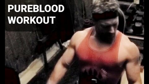 Pureblood Workout - Pressing