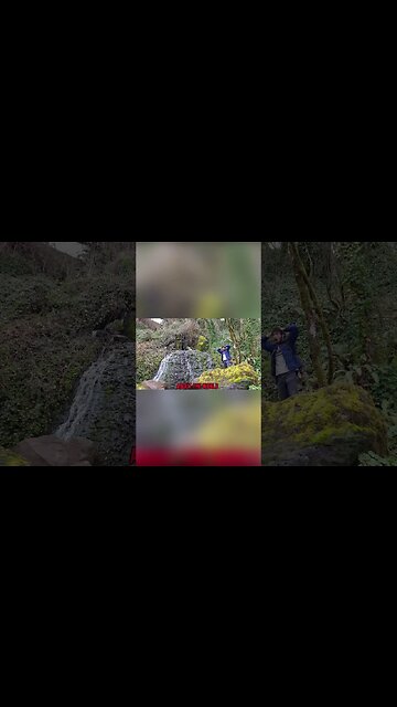 Why You Should Live Life As You Want #shorts