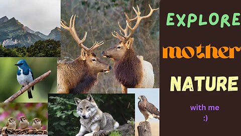 Explore Mother Nature With ME! - Adventure Through Art