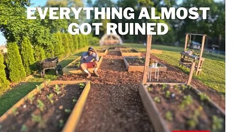 Planted all of our vegetables and than this happened