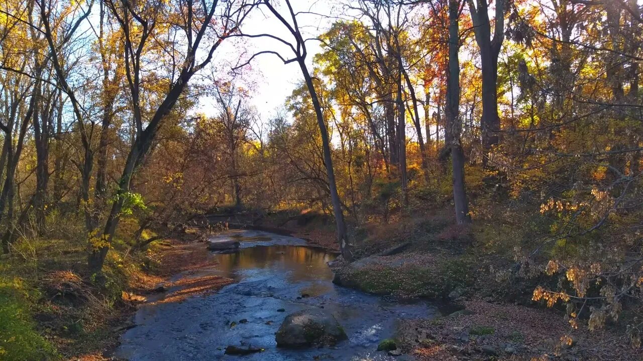 Relaxing Nature with Bird Sounds - Crickets - River White Noise