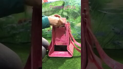 How to get puppy into pet carrier. PomskyRUs