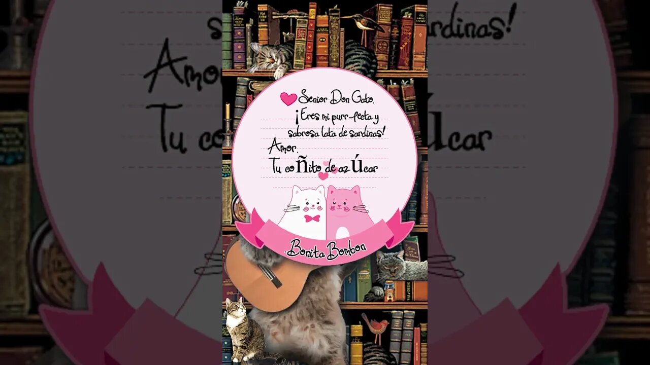 Ballad of Don Gato