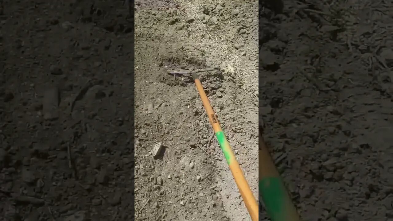 Planting some lettuce and arugula 🤤 IG https://instagram.com/waywardcajunfarms?igshid=ZDdkNTZiNTM=