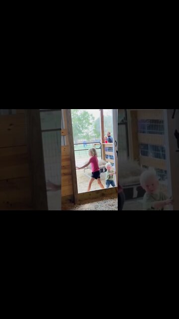 Little Master Henry of The Justin Rhodes Show 💜 isn't he growing up FAST😲