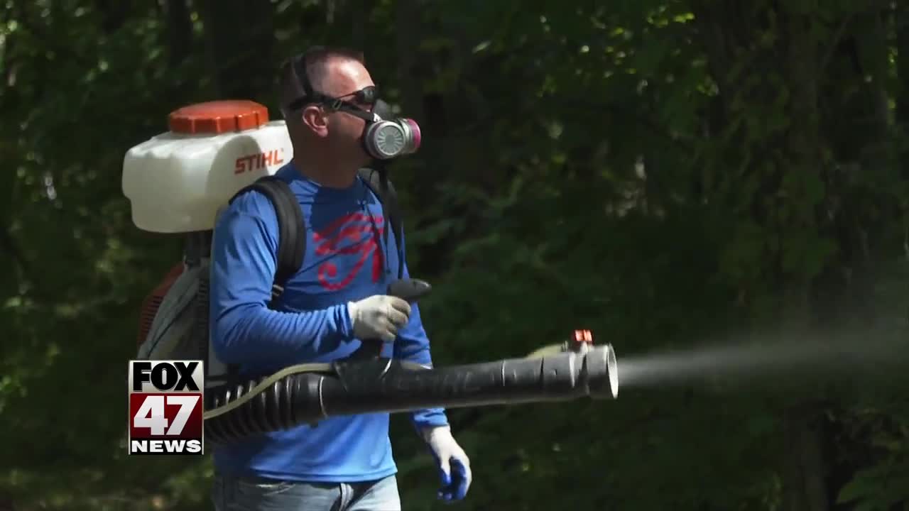 Schools take precautions against EEE