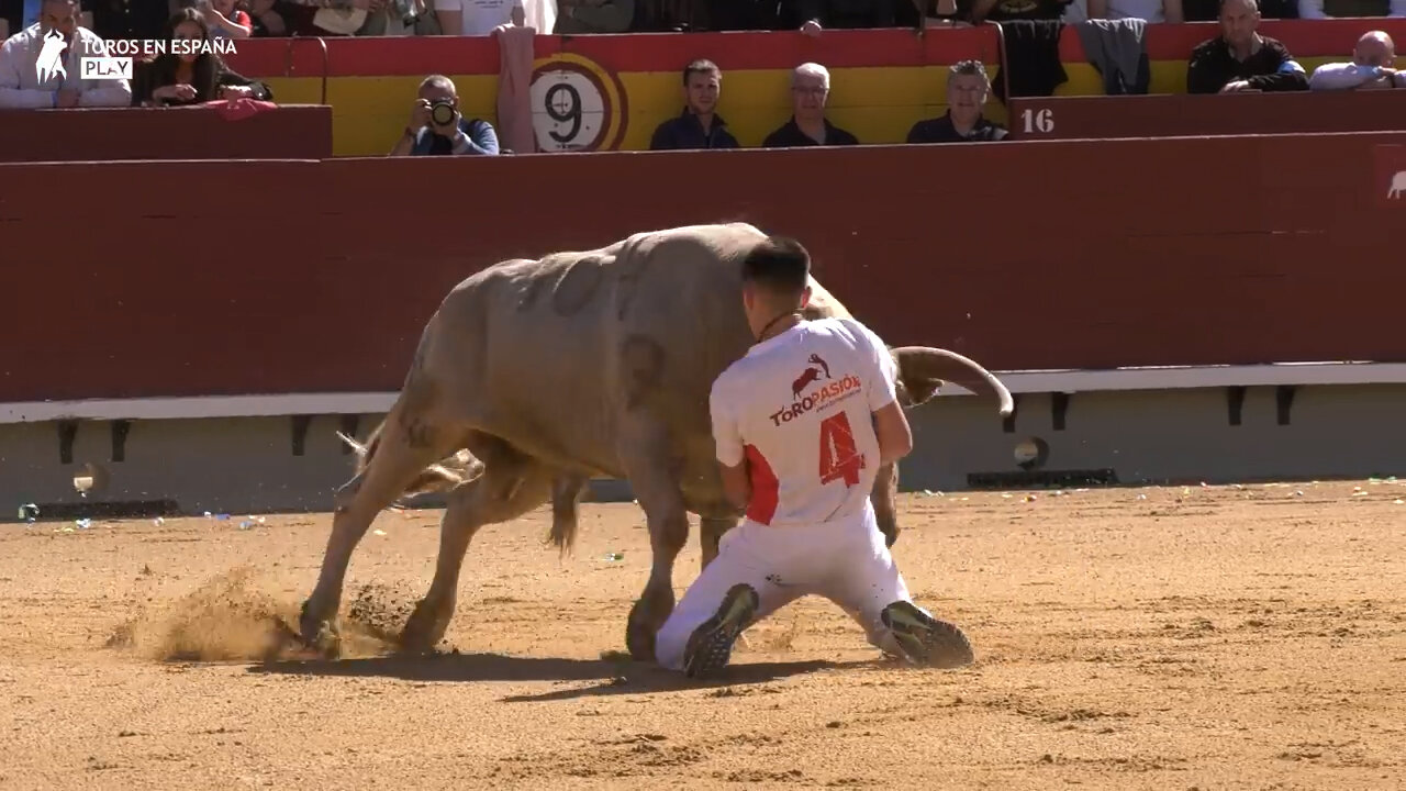 4K ▪ CASTELLÓN DE LA PLANA ▪