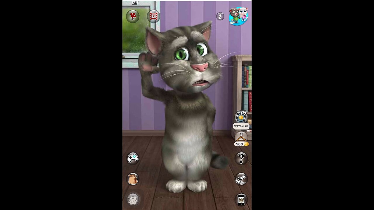 MY TALKING CAT