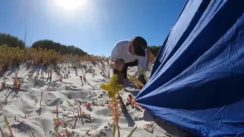 3 days SOLO CAMPING with No Food Alone In The Bush! ! 12