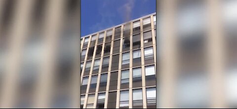 Cat jumps off burning building in Chicago